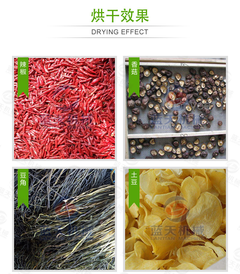 大型辣椒烘干機烘干效果