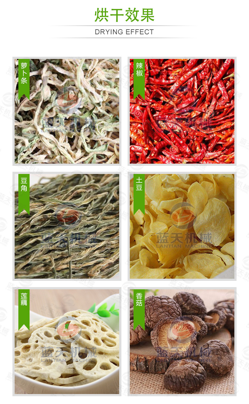 蘿卜烘干機烘干效果