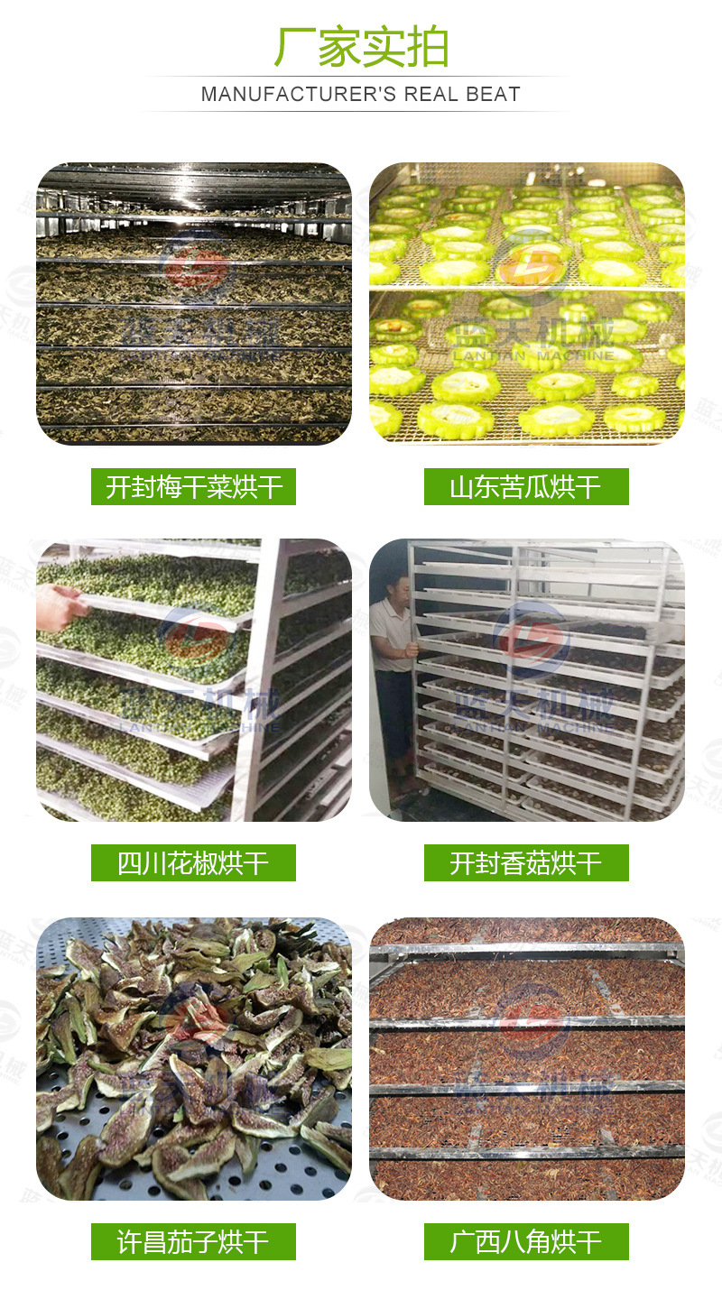 帶式青菜烘干機(jī)廠(chǎng)家實(shí)拍