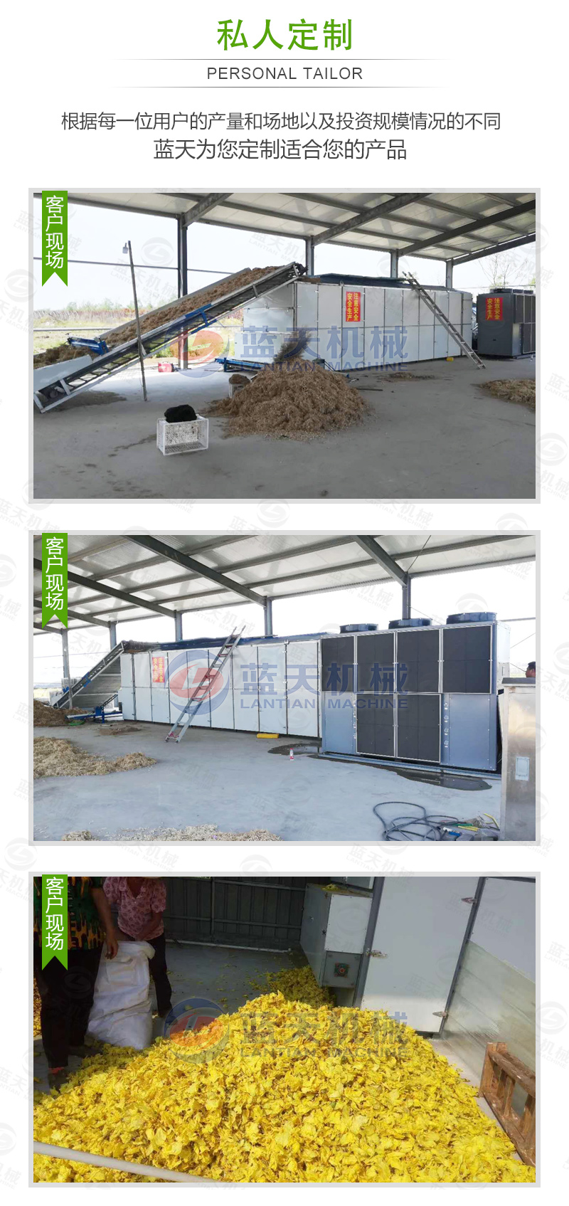 帶式青菜烘干機(jī)私人訂制