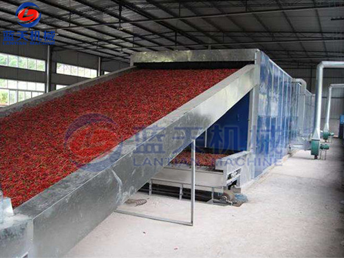 貴州帶式辣椒烘干機用戶現場