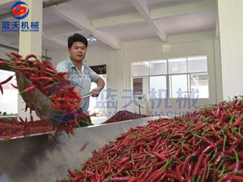 貴州帶式辣椒烘干機用戶現場