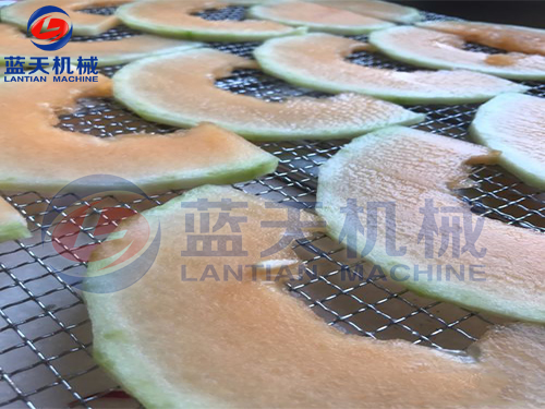 廣西水果烘干機用戶現場