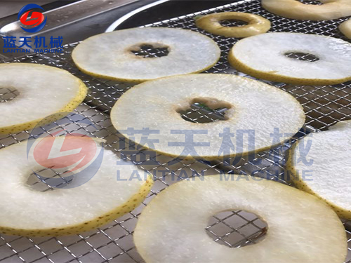 廣西水果烘干機用戶現場