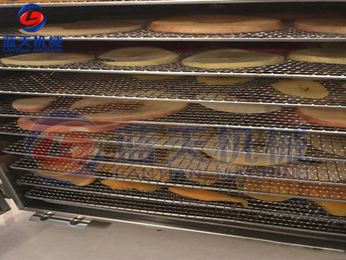 廣西水果烘干機用戶現場